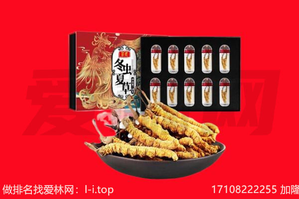 邯郸临漳县回收虫草.jpg